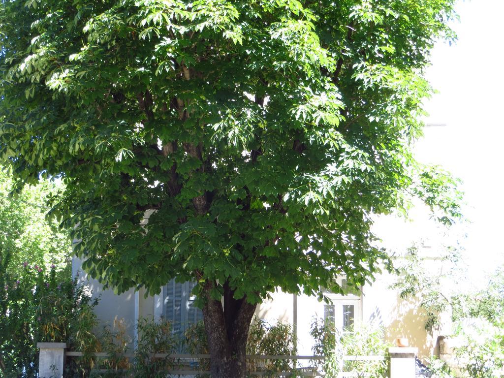 Maison Jean Chapelle Avignon Luaran gambar