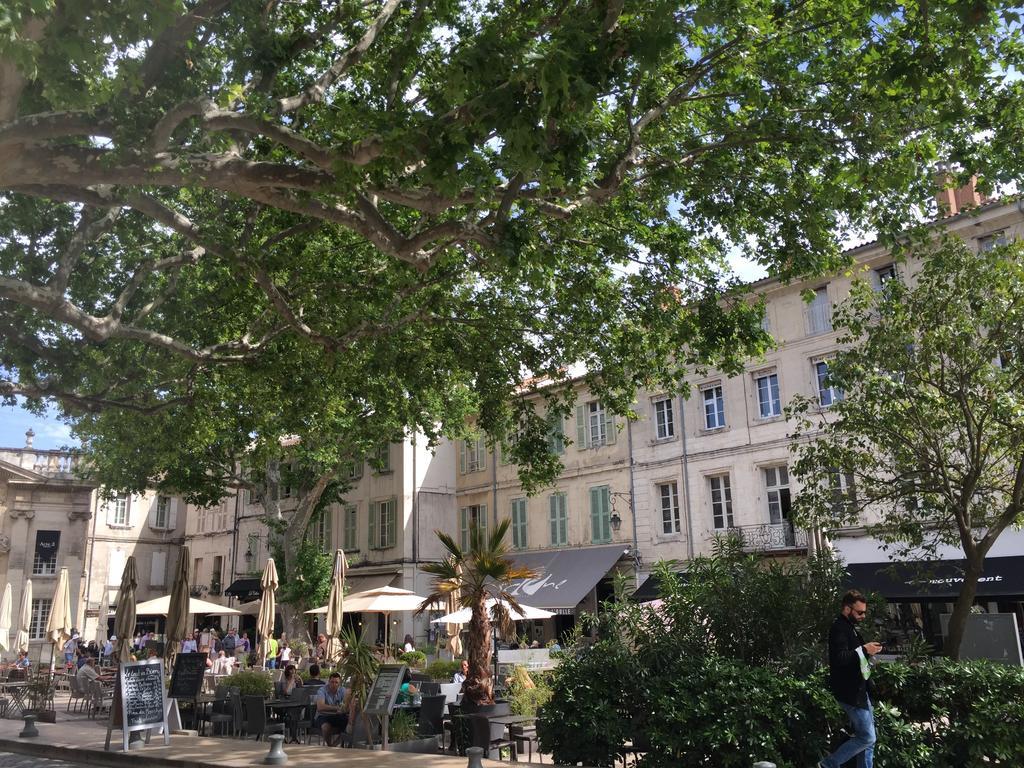 Maison Jean Chapelle Avignon Luaran gambar